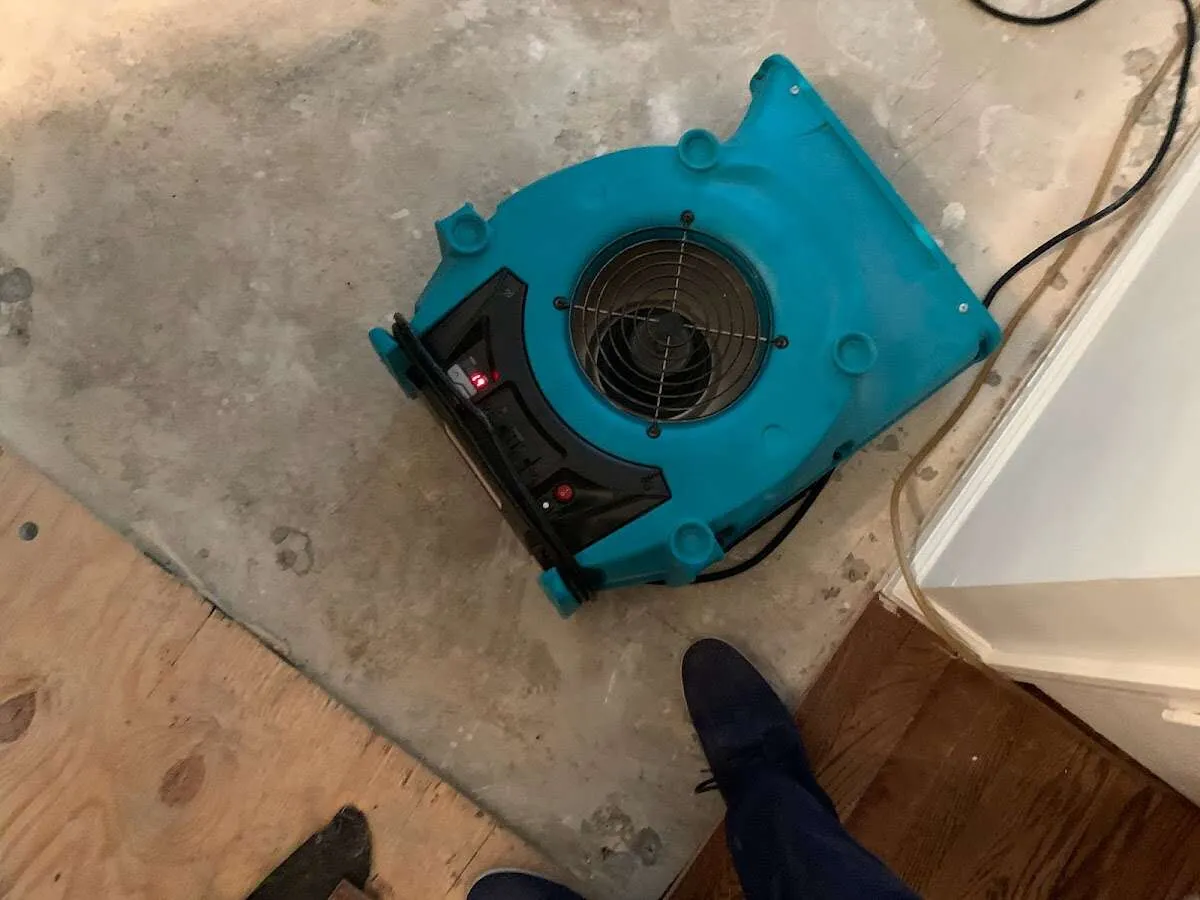 Air mover drying subfloor during Leak Detection & Repair in Beaufort